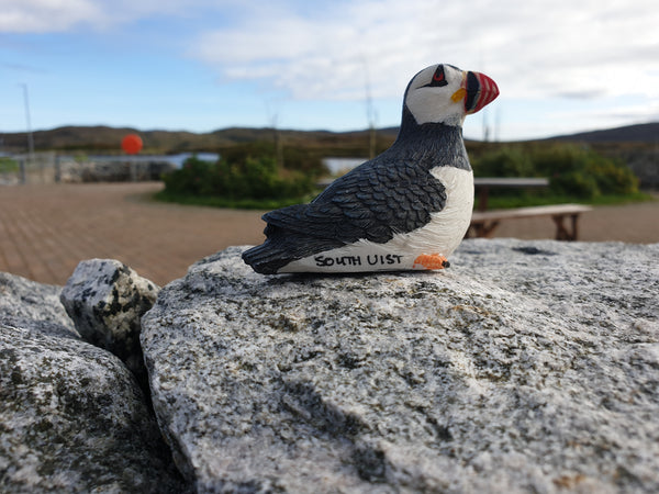 South Uist Puffin